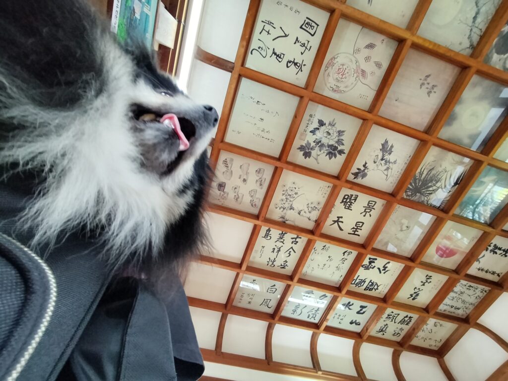 伊賀上野城　格子天井